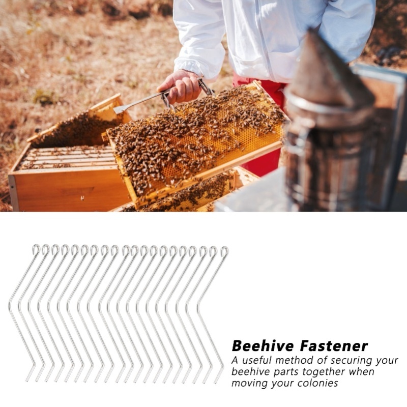 20PCS Stainless Steel Beehive  - Woodworking Joint Types ulasan dan harga